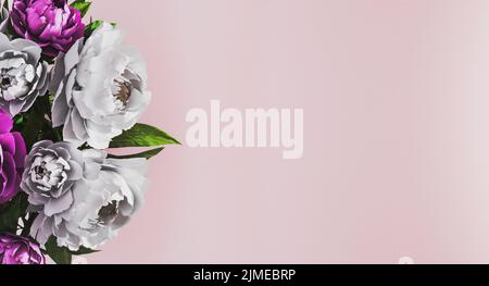 Sfondo floreale rosa pastello con peonie bianche e viola a lato. Foto Stock