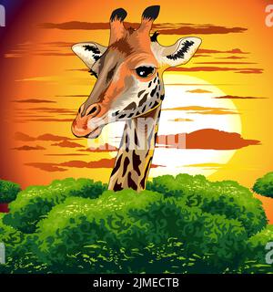 Un'illustrazione vettoriale di una giraffa che scava la testa da un albero di acacia in una savana durante il tramonto Illustrazione Vettoriale