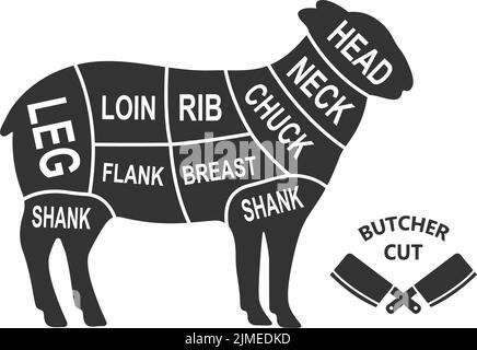 2 Abbeveratoi Automatici Per Animali - Per Pecore, Capre, Cani, Fattoria - Foto 6