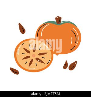 Illustrazione vettoriale dei persimmons interi e tagliati con i pozzi in stile doodle. Illustrazione Vettoriale