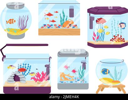 Acquario di pesce. Pesci colorati in vasca, alghe e pesci d'oro tropicali in acqua di mare. Bellissimo animale domestico, oceano subacqueo mondo in fishbowl decent vettore set Illustrazione Vettoriale