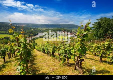 La valle del Neckar, vista dalla Michelsberg, Gundelsheim, Baden-WÃ¼rttemberg in Germania, Europa Foto Stock