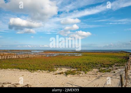 Mare di Wadden Foto Stock