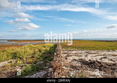 Mare di Wadden Foto Stock