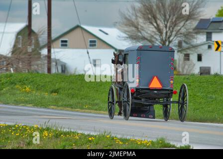 Cavallo Amish e Buggy viaggiando lungo una strada di campagna attraverso le Farmlands di RU Foto Stock