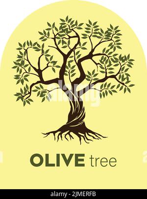 disegno dell'olivo per l'illustrazione vettoriale del packaging dell'olio di oliva Illustrazione Vettoriale