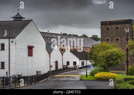 La distilleria Old Bushmills è una distilleria di whiskey alcolici nell'Irlanda del Nord Foto Stock