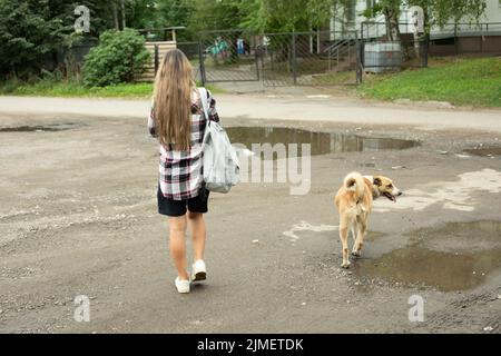 Ragazza cammina con il cane. Cane randagio su strada. Ragazza con zaino sta cercando posto in città. Grandi pozzanghere su strada. Foto Stock