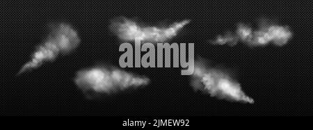 Nuvole di polvere bianca, fumo o nebbia isolate su sfondo trasparente. Set vettoriale realistico di spruzzi di polvere o vapore, spruzzi di aerosol, nebbia traccia di ruote auto Illustrazione Vettoriale