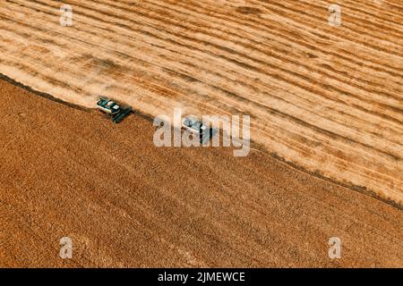 Vista aerea di due mietitrebbia su campo mietitura Foto Stock