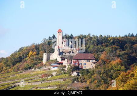 Castello di Hornberg nella valle del Neckar, Neckarzimmern tra Heidelberg e Heilbronn, Baden-Württemberg, Germania, Europa Foto Stock