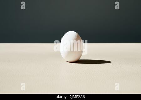 Uovo bianco singolo, concetto di minimalismo Foto Stock