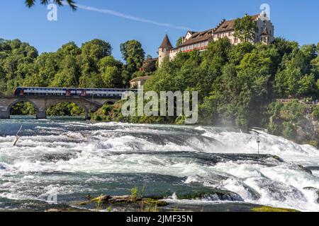 Wasserfall Rheinfall, Schloss Laufen und Rheinfall-Brücke bei Neuhausen am Rheinfall, Schweiz, Europa | Cascate del Reno, Castello di Laufen e Brid di Rheinfall Foto Stock