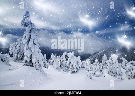 Magic winter landscape with snowy fir trees Foto Stock