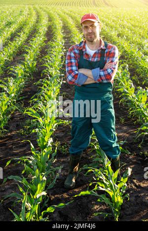 Uomo caucasico di mezza età sicuro soddisfatto contadino lavoratore con le braccia incrociate stand a campo di mais Foto Stock