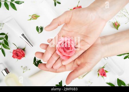 Boccioli di rosa in modello caucasico mani su sfondo bianco con flaconi cosmetici provette e contagocce Foto Stock