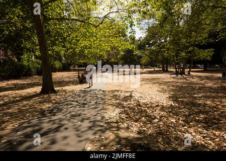 Erba arroccata indotta dalla siccità e caduta di foglie su Barnes Common, Barnes, Londra, SW13, Inghilterra, REGNO UNITO Foto Stock