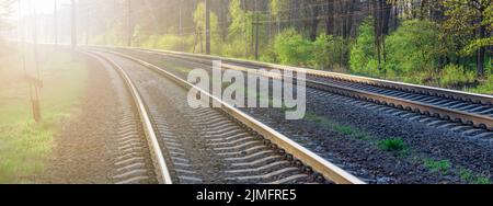 Binari ferroviari attraverso la foresta in direzione dell'alba. Foto Stock