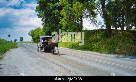 Amish cavallo e Buggy si avvicina su una strada rurale Foto Stock