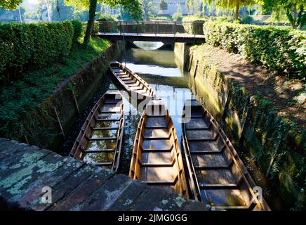 Una vista panoramica di un piccolo ponte, barche di legno (Ulmer Schachteln) sotto di esso, alberi verdi e le mura della città vecchia nella città di Ulm in Germania Foto Stock