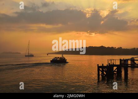 Il piccolo traghetto passeggeri Brownsea Enterprise lascia il molo a Haven, Poole, e si dirige verso Brownsea Island in una nebbiosa serata di maggio Foto Stock