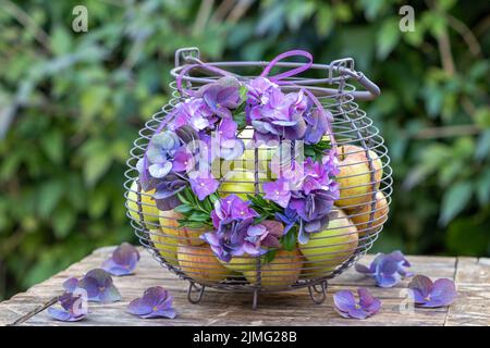 disposizione con corona di fiori viola di hydrangea e albero di scatola e cestino con mele Foto Stock