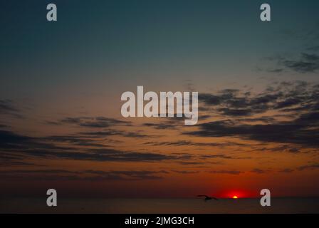 Tramonto su acque di mare calme con silhouette di gabbiano su sfondo cielo nuvoloso Foto Stock