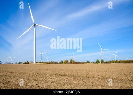 Vento fattoria in un paesaggio rurale sotto il cielo blu in autunno. Spazio di copia. Foto Stock