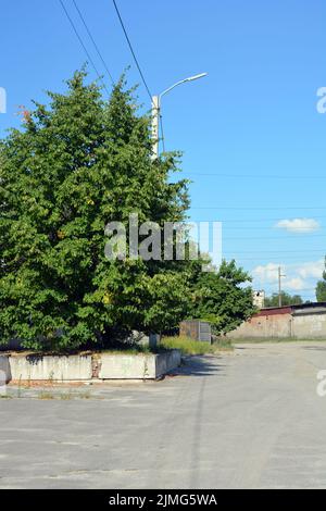 Edifici ed edifici, strade interessanti, alberi - progettazione paesaggistica nel centro della città di Dnipro, Ucraina. Foto Stock