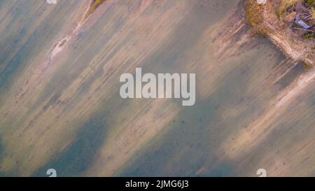 Vista aerea scattata da un drone della riva di un lago forestale. Erba spessa, riflessi nell'acqua, uccelli verdi in lontananza Foto Stock