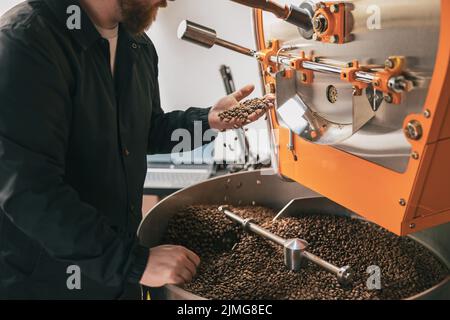 Il proprietario dell'azienda controlla la qualità dei chicchi di caffè tostati in una piccola fabbrica. Primo piano Foto Stock