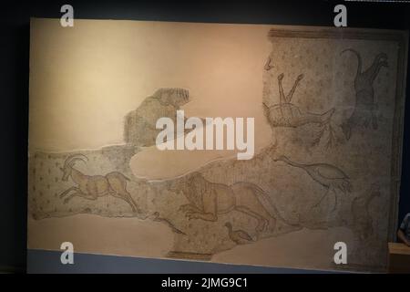 Saridere Mosaic scoperto nel 2005 a Battepe Village, Gaziantep Mosaic Museum Foto Stock