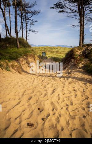 Una vista dal Wales Coast Path da Newborough Forest verso Newborough Warren, Isle of Anglesey, North Wales Foto Stock