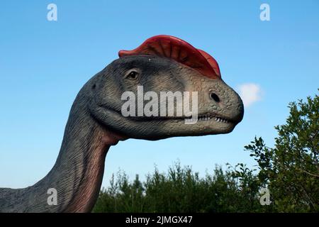 Dinosauro un ritratto Foto Stock