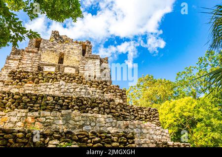 Antico sito maya con rovine tempio piramidi artefatti Muyil Messico. Foto Stock