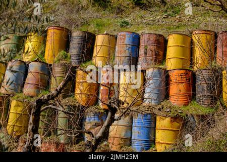 Barili colorati accatastati dietro meli decidui con foglie cadute e mele gialle cadute in un campo Foto Stock