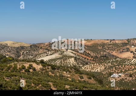 Una vista di campagna collinare e backcountry nel sud della Spagna Foto Stock