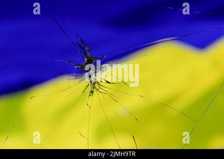 L'effetto di una finestra spezzata sullo sfondo della bandiera Ucraina gialla e blu. Foto Stock