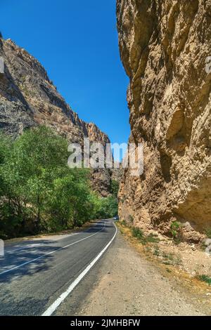 Gola del fiume Amaghu, Armenia Foto Stock