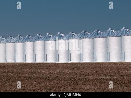Grano di serbatoi di stoccaggio Foto Stock