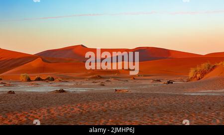 Arido paesaggio asciutto Nascosto Vlei in Namibia Africa Foto Stock