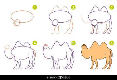 Istruzioni per disegnare il cammello. Passo dopo passo. Illustrazione Vettoriale