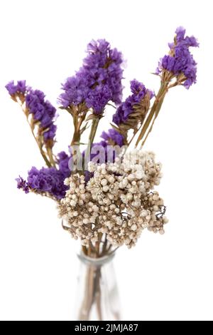 Composizione floreale di fiori secchi in vaso trasparente su fondo bianco, primo piano, composizione floreale Foto Stock