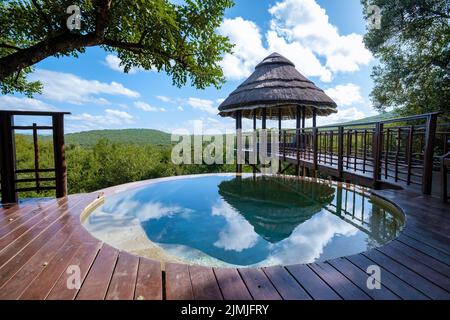 Piscina di lusso, Sud Africa Kwazulu Natal, safari Lodge di lusso nel cespuglio Foto Stock