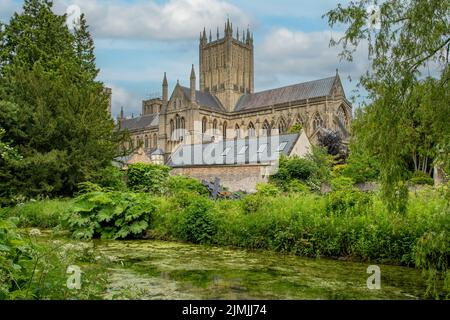 La Cattedrale dai Giardini nel Palazzo Vescovile, Wells, Somerset, Inghilterra Foto Stock