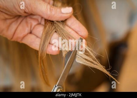 Donna che ottiene i suoi capelli tagliati a casa da hairstylist Foto Stock