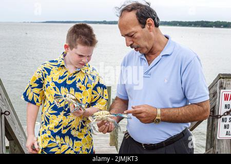 Virginia Newport News vicino a James River Bridge, granchio attività ricreative Water boy guardando il granchio catturato, l'uomo tiene in mano visitatori vacanza persone persona Foto Stock