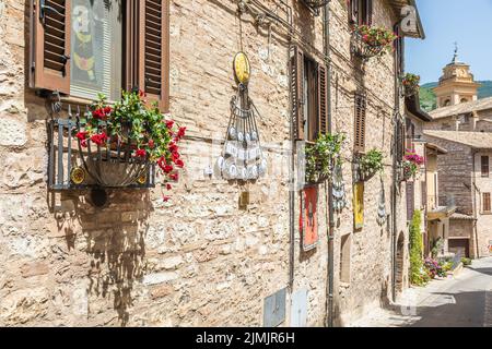 Fiori in antica strada situata nel villaggio di Spello. Regione Umbria, Italia. Foto Stock