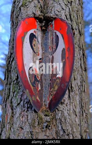 Segno di proibizionismo cresciuto con una corteccia di albero. Foto Stock