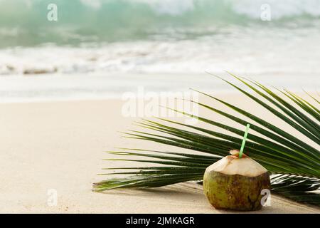 Cocktail in foglie di cocco e di palma sulla spiaggia di sabbia Foto Stock